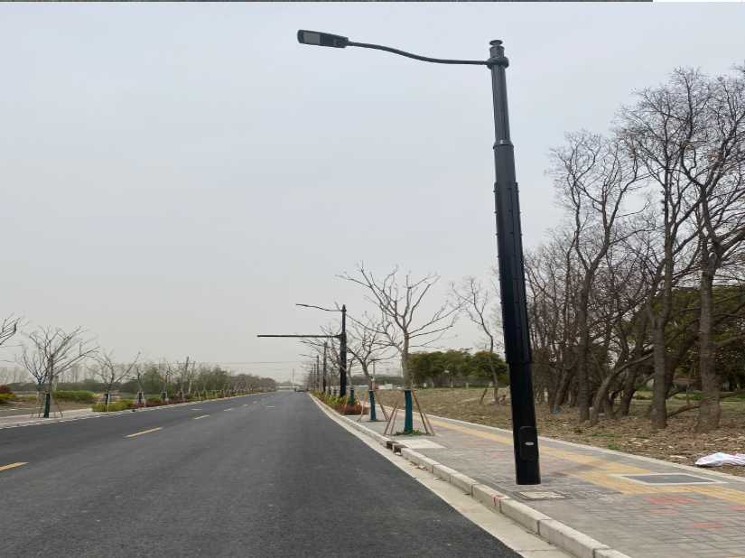 双柏县上海综合杆 太阳能路灯工程